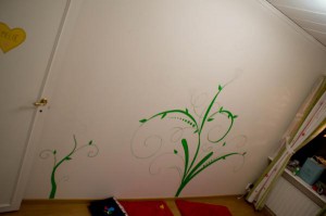 SONY DSC